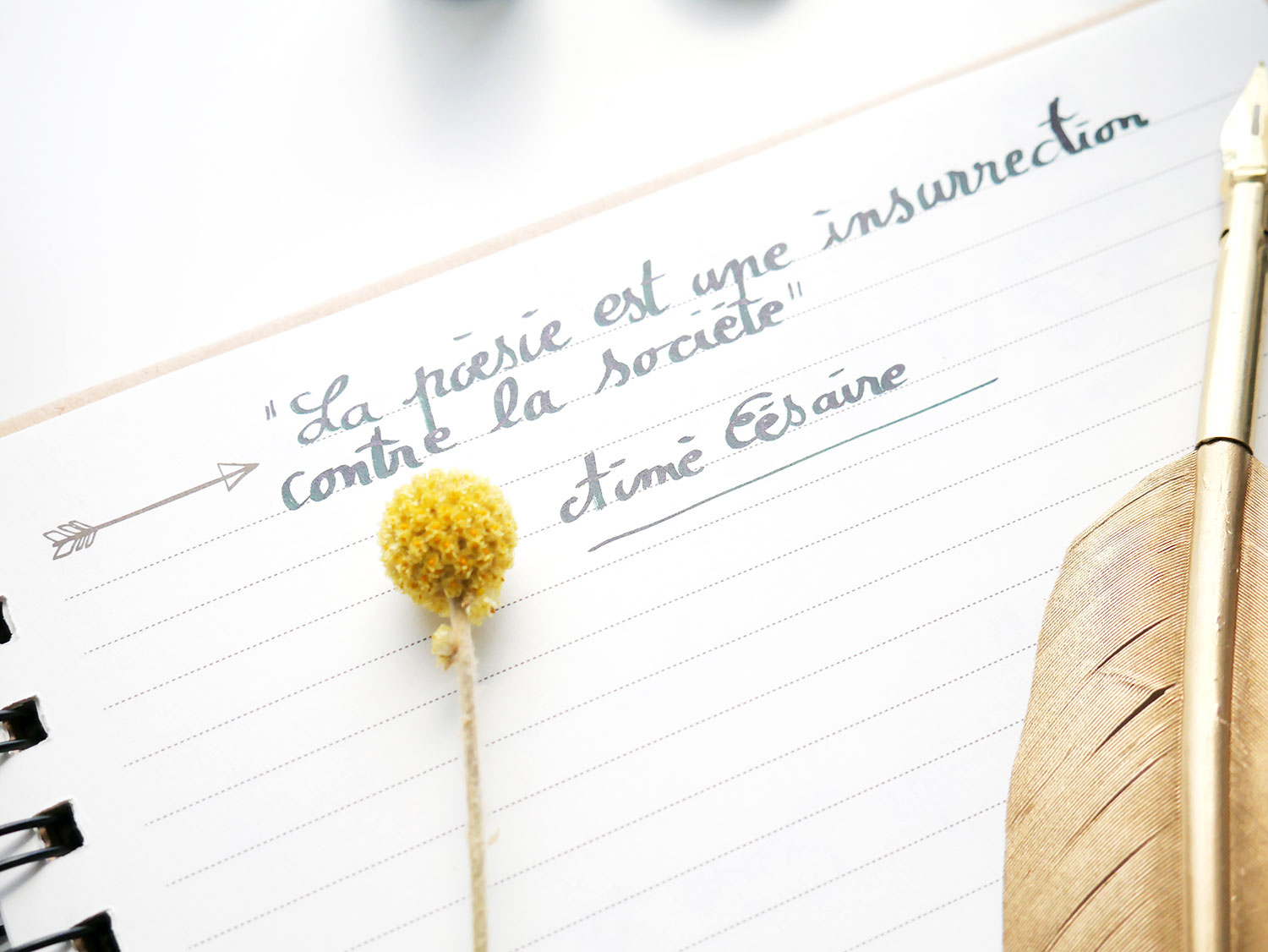 « La poésie est une insurrection contre la société. »