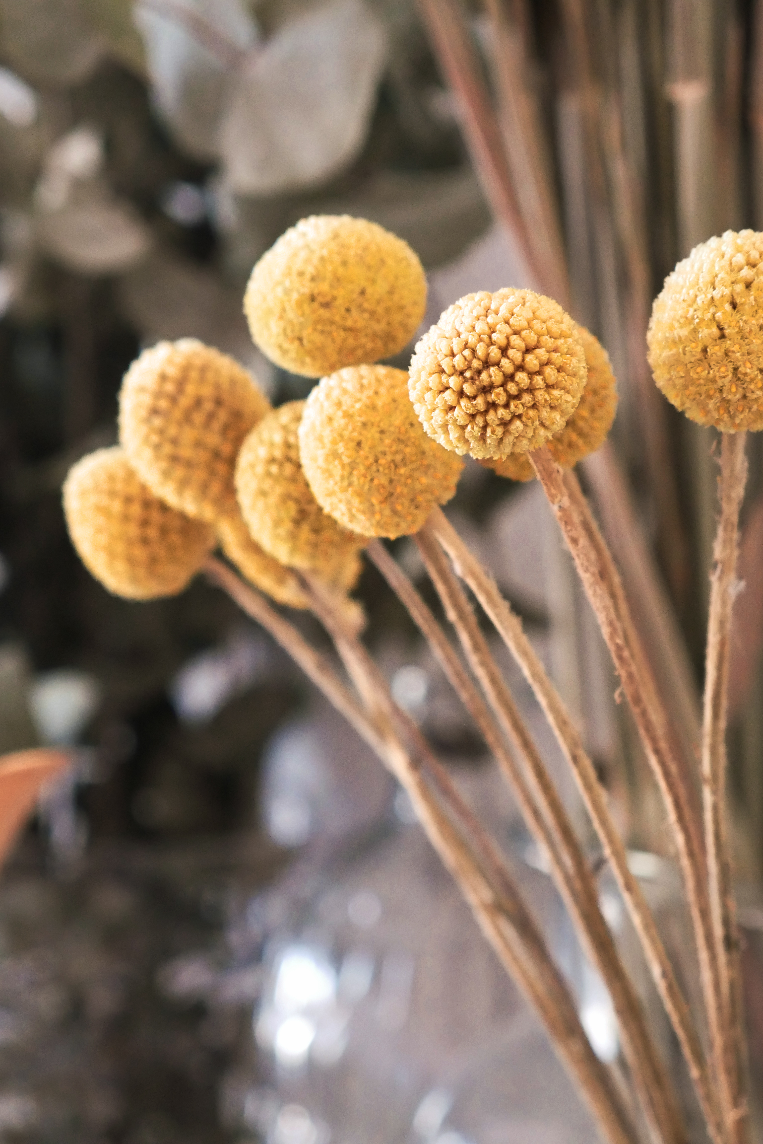 Mes 5 huiles essentielles de grossesse (3)